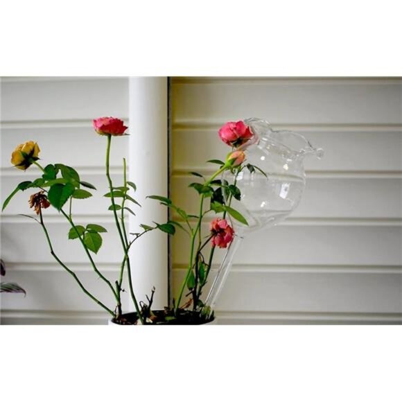 Plant Waterer Self Watering Globes Self Watering Spikes, Hand Blown Clear Glass - Picture 3 of 7